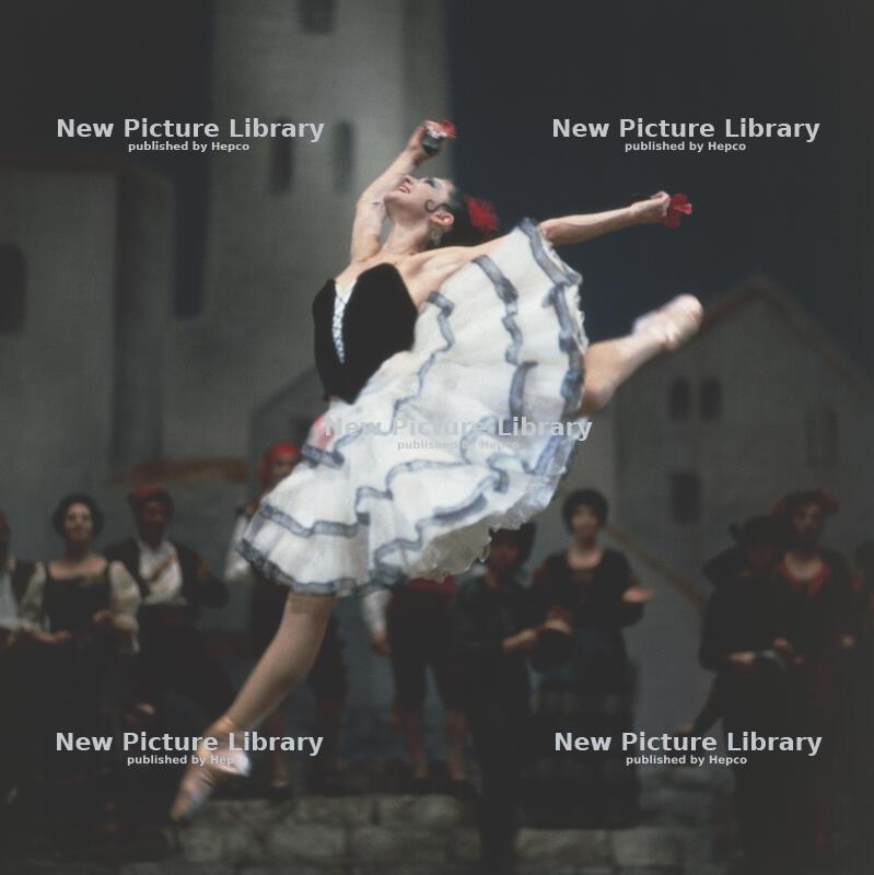 Plié, pirouette, and arabesque