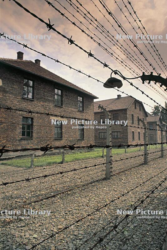 International Holocaust Remembrance Day 