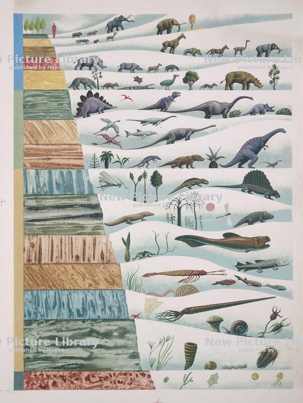 The Voyage That Changed Everything.