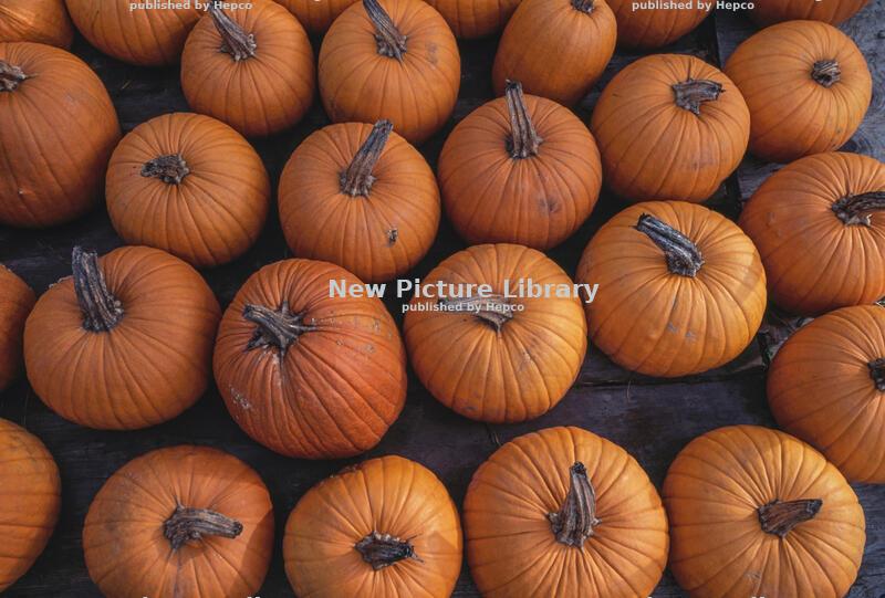 Orange, the color of autumn